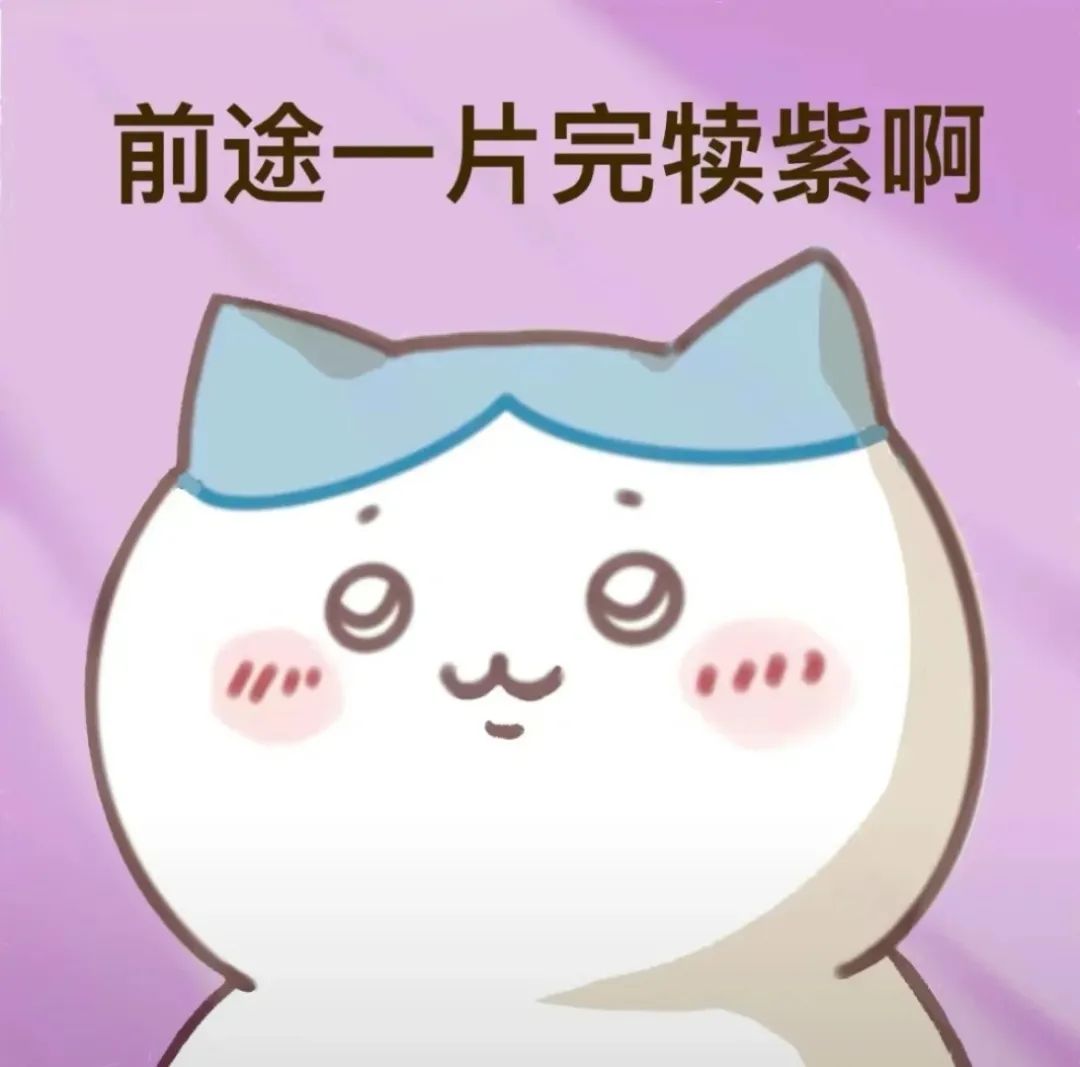 美本招生官亲述：为什么你满分GPA，Top20还是一秒拒掉你？  数据 第15张